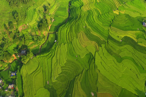 Mu Cang Chai Tour 3 Days - photo 40